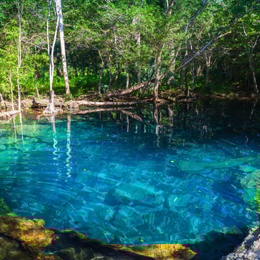 Cenote with crystal-clear blue water and lush jungle in the Dominican Republic