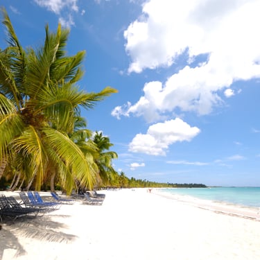 Saona Island beach with white sand, turquoise water, and palm trees in the Dominican Republic