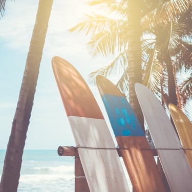 Surfboards lined up on a tropical beach in the Dominican Republic