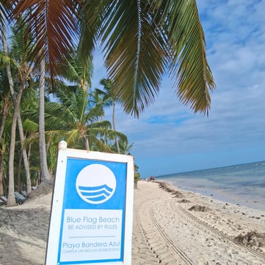Blue Flag beach with palm trees and sargassum on the shore in the Dominican Republic