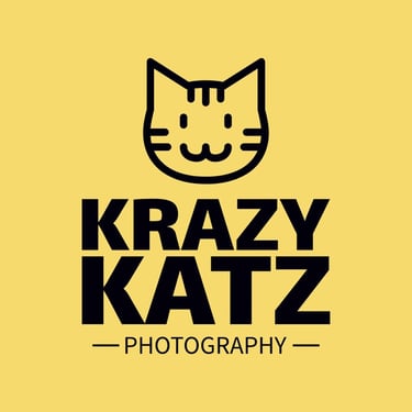 Krazy Katz Photography Logo