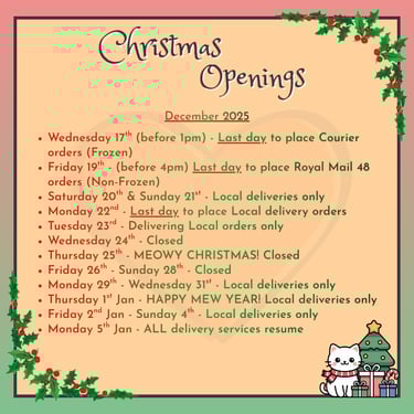 A detailed list describing Kitty's Rawr Store Christmas Opening dates