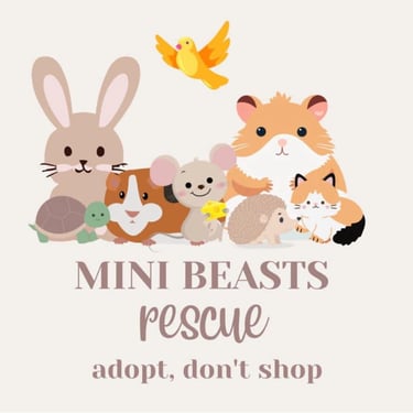 Mini Beasts Rescue Logo