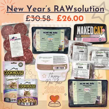Kitty's Rawr Store New Year's RAWsolution offer