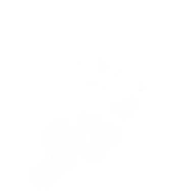 Awakened Stories Glowing Butterflies