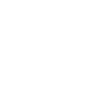 wix official partner