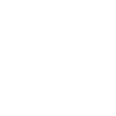 Vidalai
