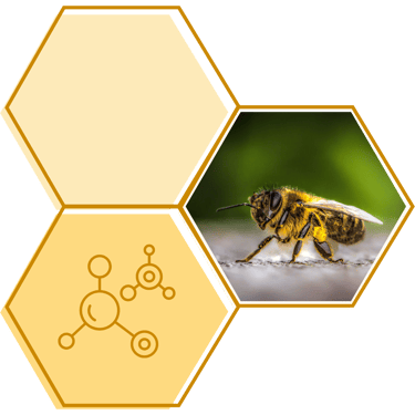 Como Criar Abelhas Jataí - Biologia