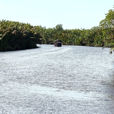 Entrance River of Sekonyer River