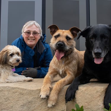 Dog Manners team, Lydia, Luna, Lego, Lexi