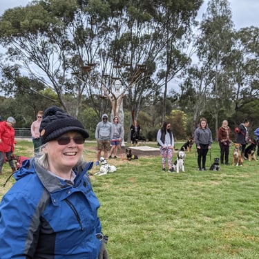 Female dog trainer teaching group of dogs and people in park