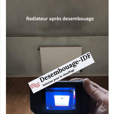 contrôle à la caméra thermique avant désembouage de tout l'immeuble 