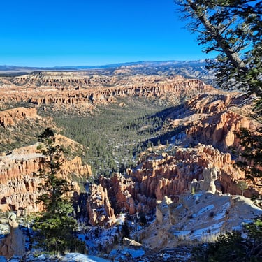 Finn's Footprints Utah Budget Travel Review