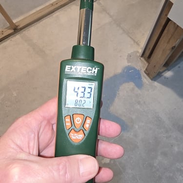 Mold can affect your health