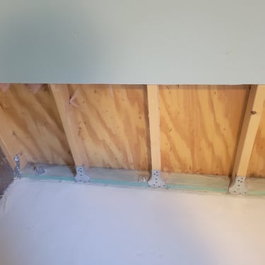 Mold drywall Volusia County