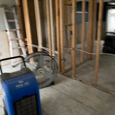 Kill mold Port Orange