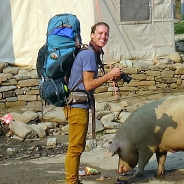 Trekkker taking a photo of a pig