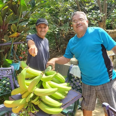 two guys with a bunch of plantains