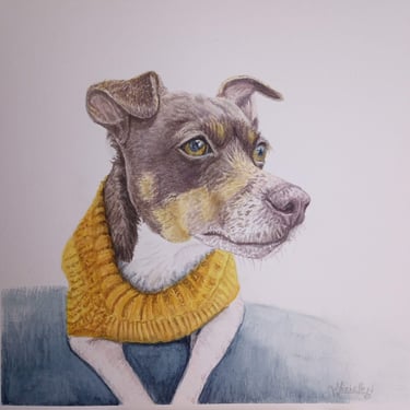 Pet Portrait, painting