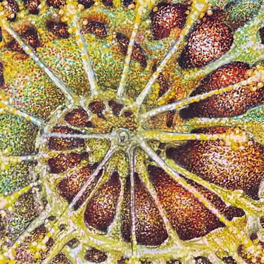 Right Panel of Triptych Golden Guardian Pointillism  One of a Kind Ink on Board