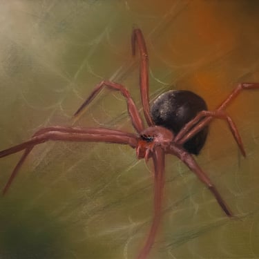 Red Widow Spider Oil Painting Phobia Series Fear of Spiders