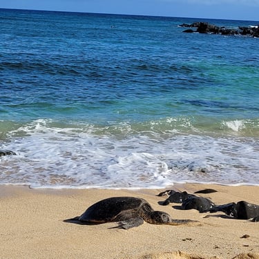 Ho’okipa beach