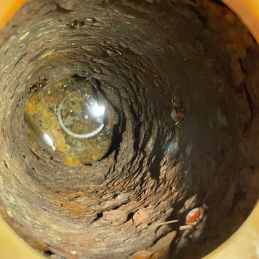 plumbing drain line inspection