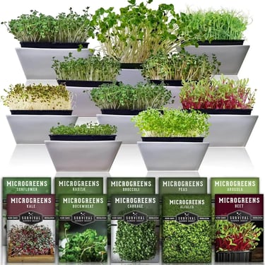Organic Microgreen Seed Variety Pack
