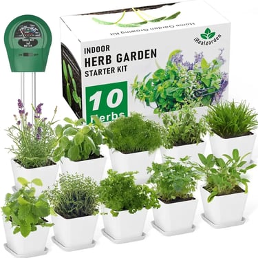 Wall Mount Herb Garden Kit