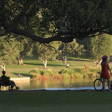 Centenial Park, archietctrual park of the Randwick City Council