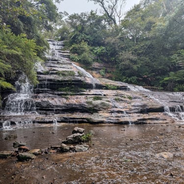 waterfall with trees
