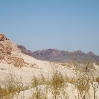 Desert safari Bedouin star Egypt
