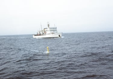 DOLPHIN running ahead of Baffin