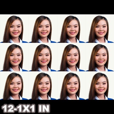 12-1X1in