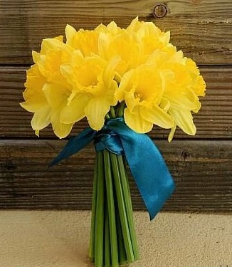 bouquet de jonquilles déposé sur tombe pays de la loire pas cher 14€