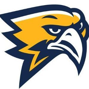 Freeman High School Golden Eagles gold white 3D printed personalized school merchandise Katy Texas
