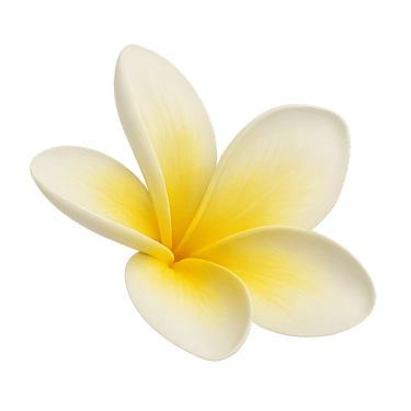 a yellow flower on a Lomi Lomi session button