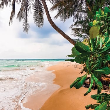 Koh Kood Beach