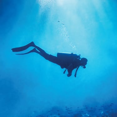 Scuba Diver