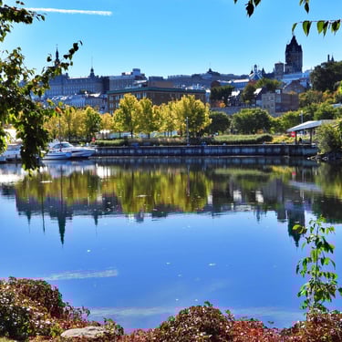 Bassin Louise, plan d'eau.