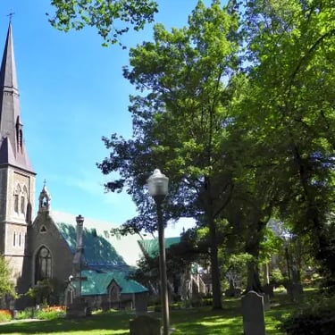 clocher, arbres, église, bibliothèeque