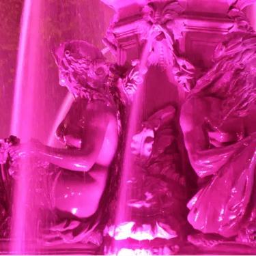 Fontaine de Tourny en rose.détail.