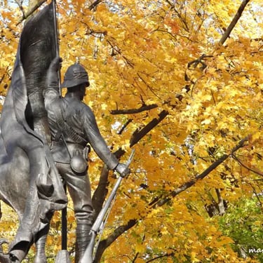 Monument des Boers, arbres automnal