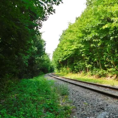 Boisé Tequenonday, chemin de fer.