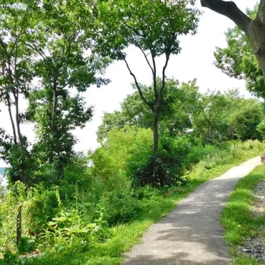 Boisé Tequenonday, sentier, fleuve.