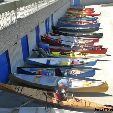 canots en rangée