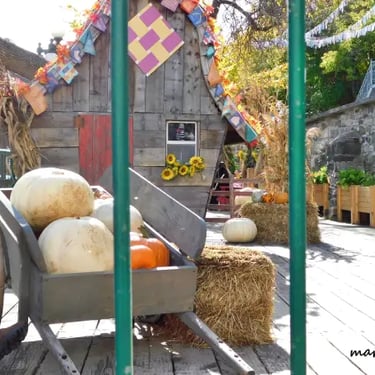 Halloween, Petit Champlain, Québec.