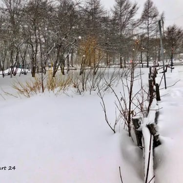 Domaine Maizerets, hiver.