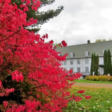Domaine Maizerets, feuilles rouges.