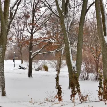 Plaines d'Abraham en hiver.